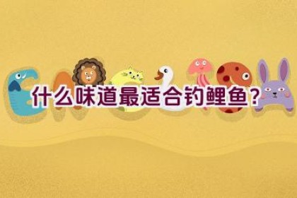 什么味道最适合钓鲤鱼？