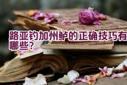 路亚钓加州鲈的正确技巧有哪些？
