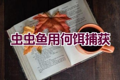 虫虫鱼用何饵捕获