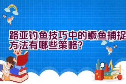 路亚钓鱼技巧中的鳜鱼捕捉方法有哪些策略？