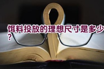 饵料投放的理想尺寸是多少？