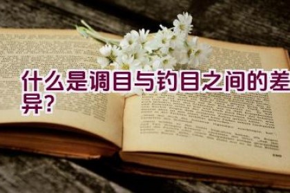 什么是调目与钓目之间的差异？