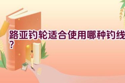 路亚钓轮适合使用哪种钓线？