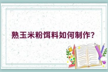 熟玉米粉饵料如何制作？