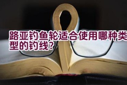 路亚钓鱼轮适合使用哪种类型的钓线？