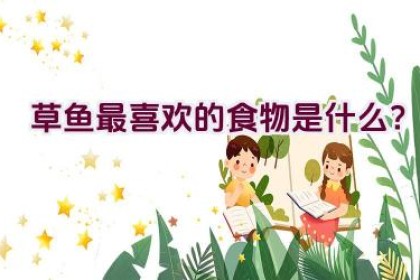 草鱼最喜欢的食物是什么？