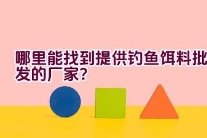 哪里能找到提供钓鱼饵料批发的厂家？