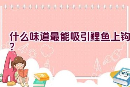 什么味道最能吸引鲤鱼上钩？