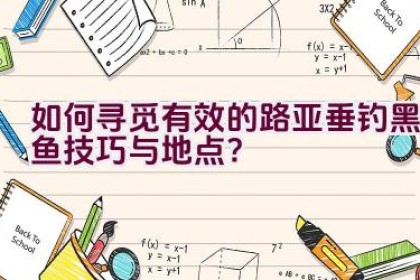 如何寻觅有效的路亚垂钓黑鱼技巧与地点？