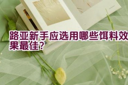 路亚新手应选用哪些饵料效果最佳？