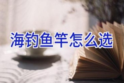 海钓鱼竿怎么选