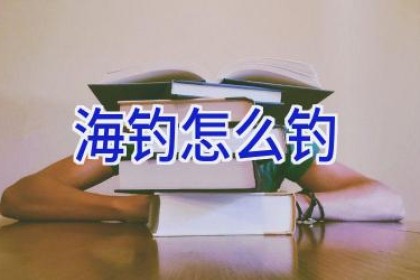 海钓怎么钓