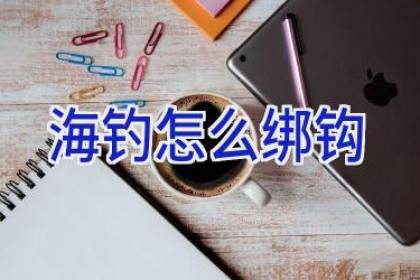 海钓怎么绑钩
