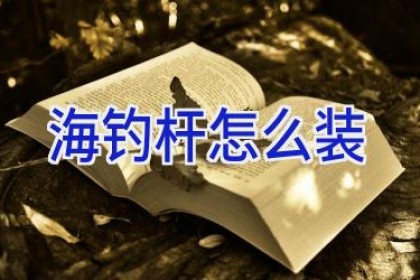 海钓杆怎么装
