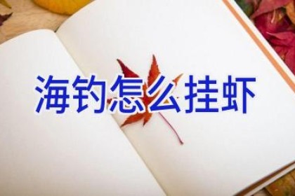 海钓怎么挂虾