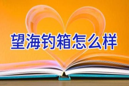 望海钓箱怎么样