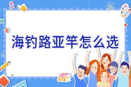 海钓路亚竿怎么选