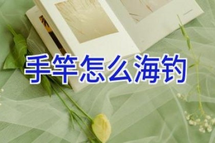 手竿怎么海钓