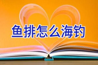 鱼排怎么海钓