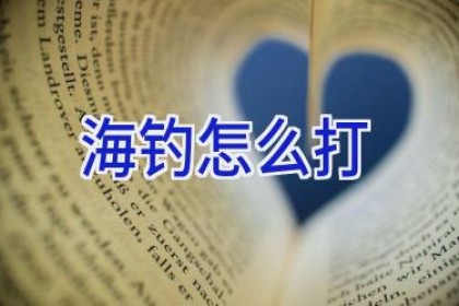 海钓怎么打