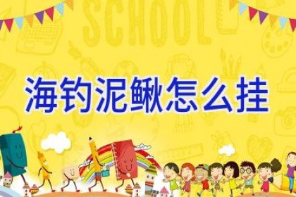 海钓泥鳅怎么挂