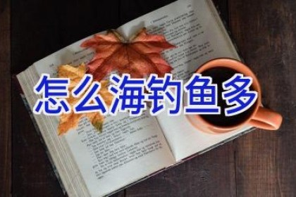 怎么海钓鱼多