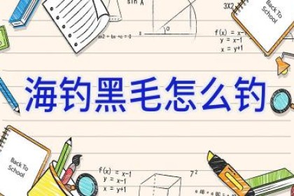 海钓黑毛怎么钓