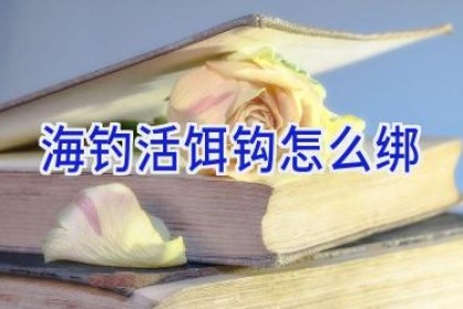 海钓活饵钩怎么绑