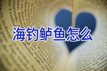 海钓鲈鱼怎么