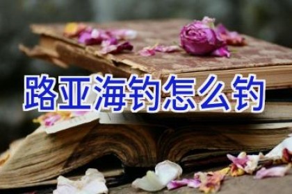 路亚海钓怎么钓
