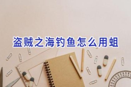 盗贼之海钓鱼怎么用蛆