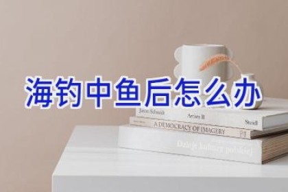 海钓中鱼后怎么办