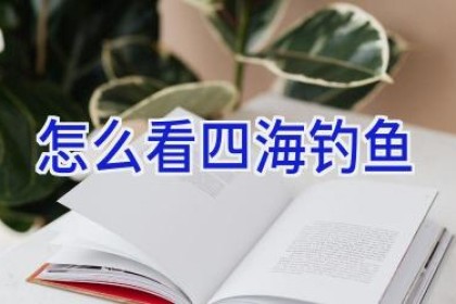 怎么看四海钓鱼