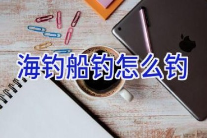 海钓船钓怎么钓