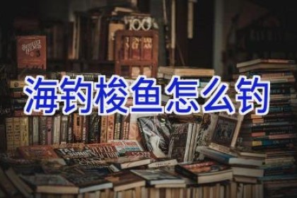 海钓梭鱼怎么钓