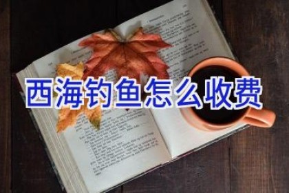 西海钓鱼怎么收费