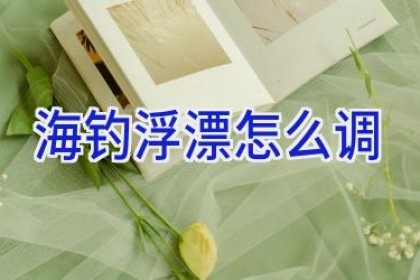 海钓浮漂怎么调