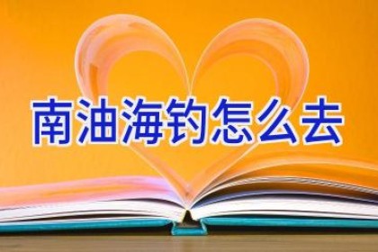 南油海钓怎么去