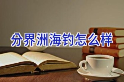 分界洲海钓怎么样