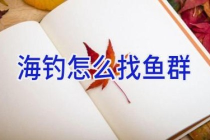 海钓怎么找鱼群