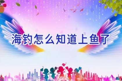 海钓怎么知道上鱼了