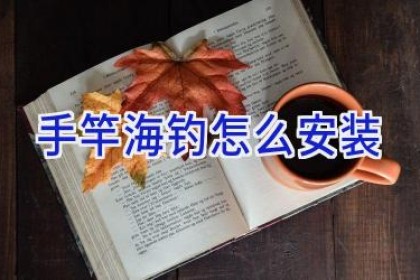 手竿海钓怎么安装
