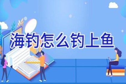 海钓怎么钓上鱼