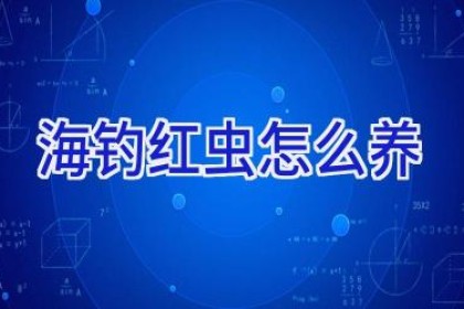 海钓红虫怎么养