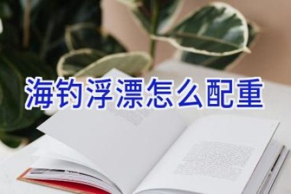 海钓浮漂怎么配重