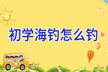 初学海钓怎么钓