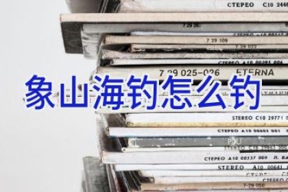 象山海钓怎么钓