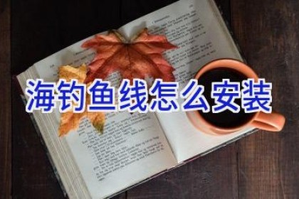 海钓鱼线怎么安装