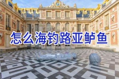 怎么海钓路亚鲈鱼