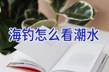 海钓怎么看潮水